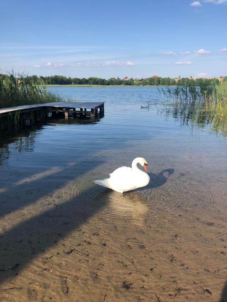 Domek Letniskowy Krejwince Zewnętrze zdjęcie